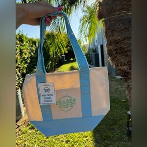 Trader Joe’s Pastel Blue Mini Tote